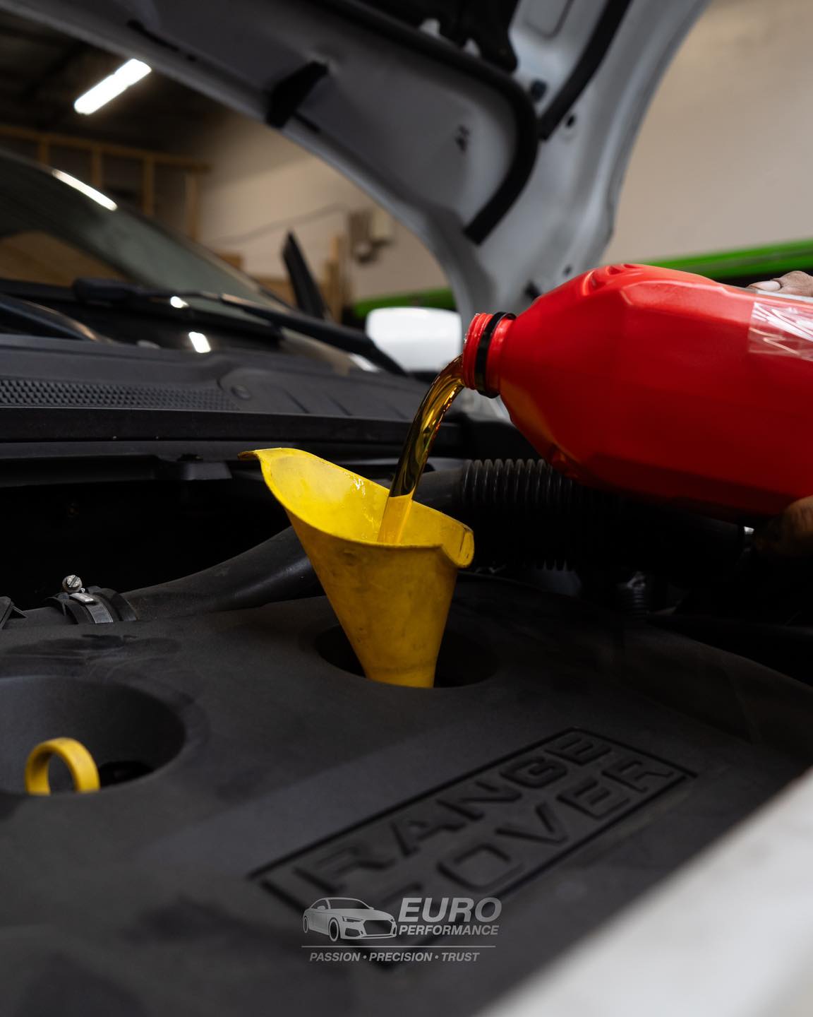 OEM filter and fluids